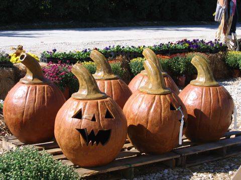 Carved jack-o-lanterns on display (fall 2008)