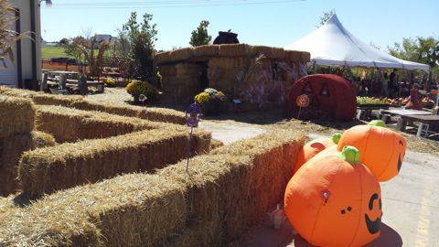 Fall decor