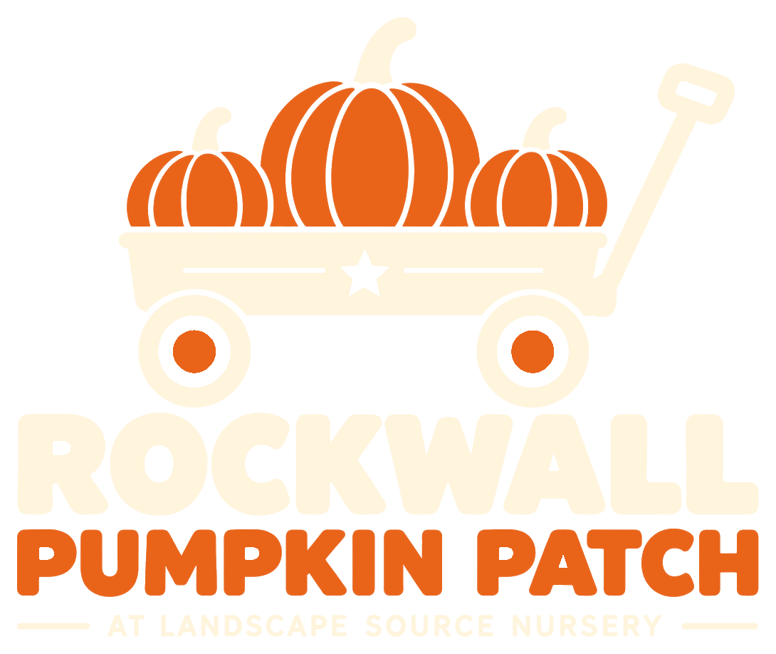 Rockwall Pumpkin Patch at Landscape Source Nursery
